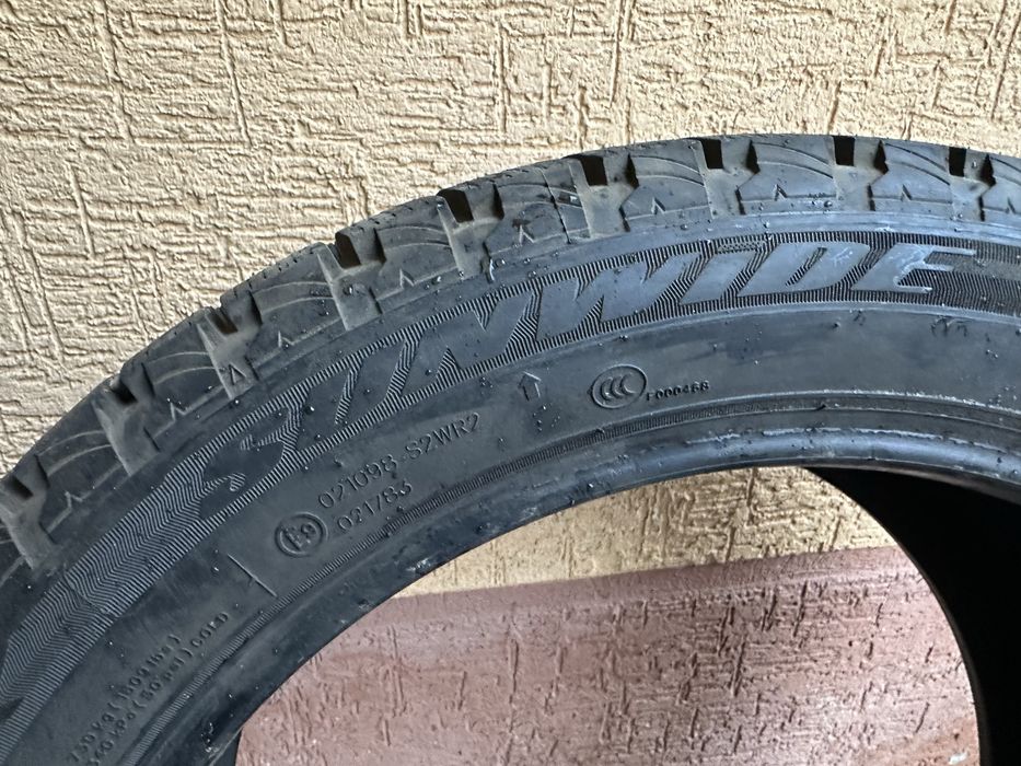 Болоный   зимний