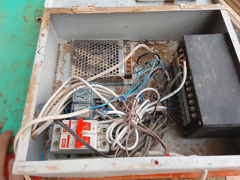 инкубатор для яиц