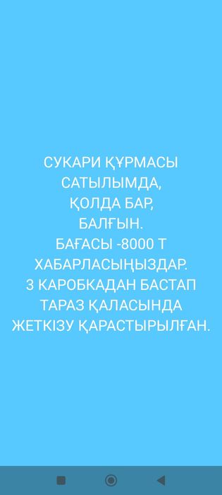 Саудиялык, Ирандық Финики, Құрмалар