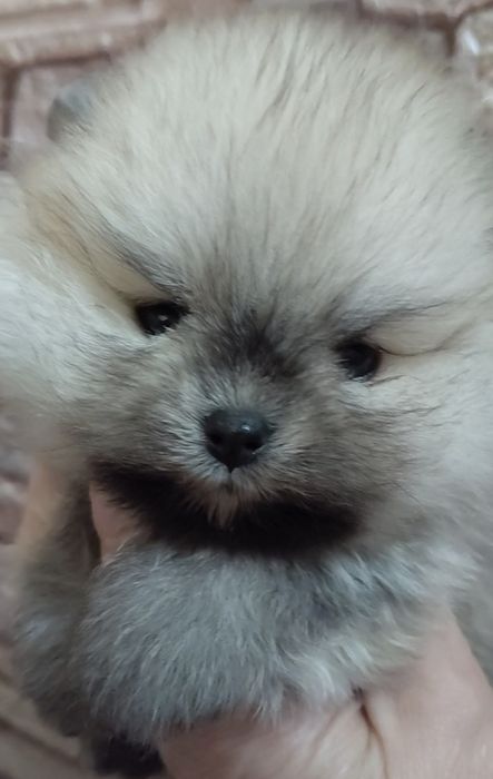 Девочка крошка с ладошку