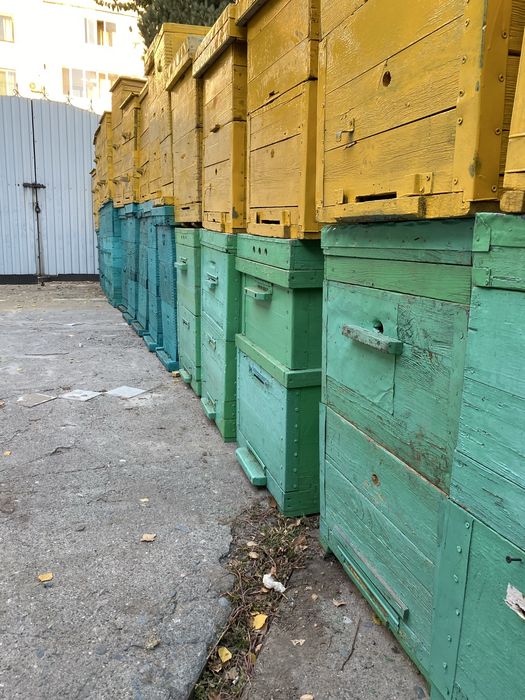 Продам улья для пчел