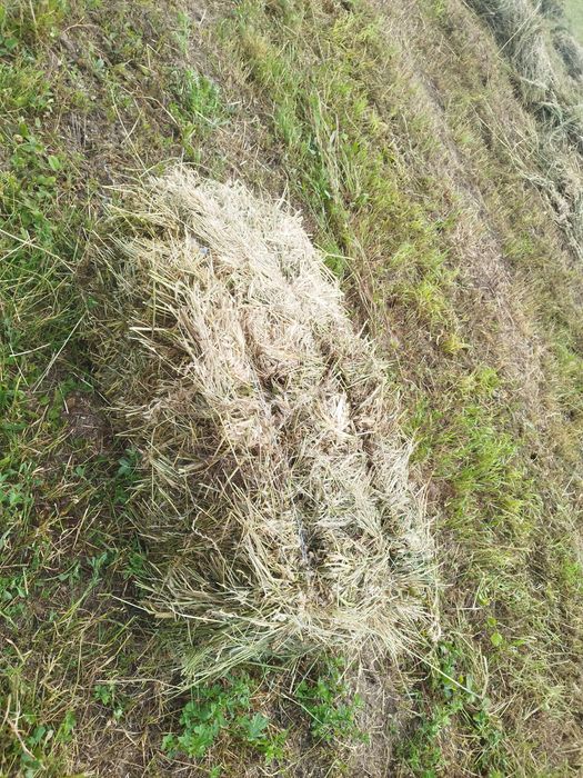 Vand baloti de lucerna amestecati cu ovăz
