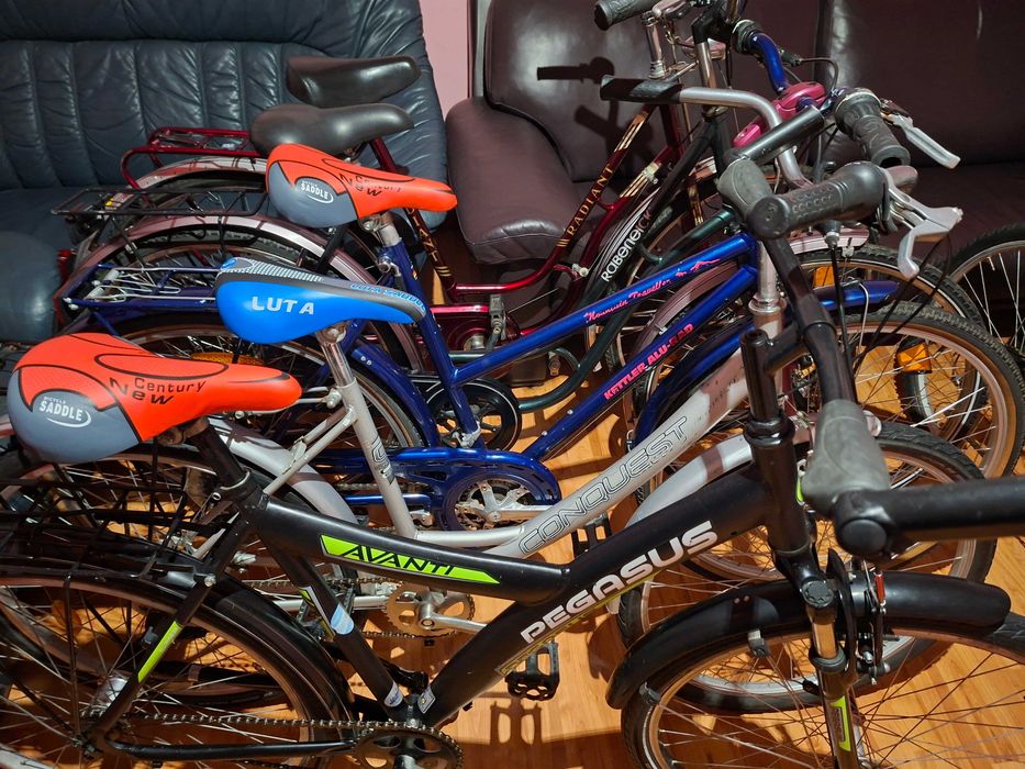 Biciclete 28 Dama de 2 zile