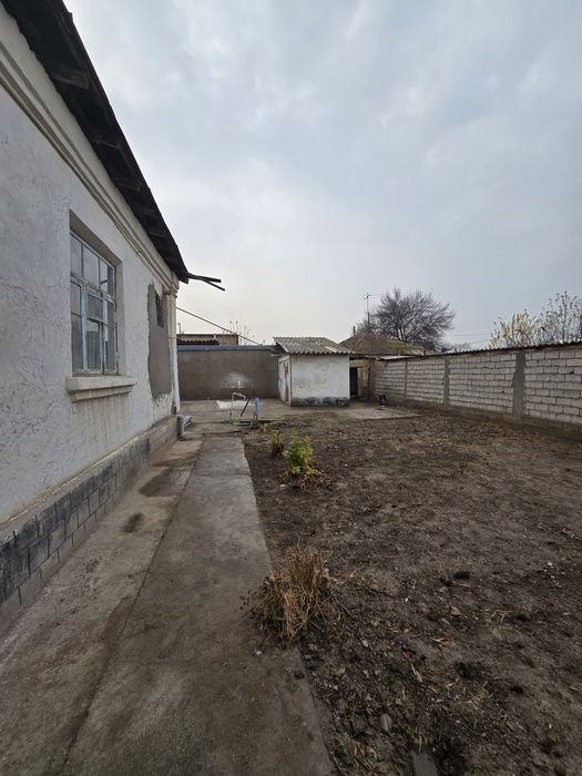 Бектемир  Опитный