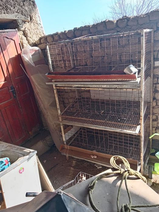 тауык пен боденеге клетка