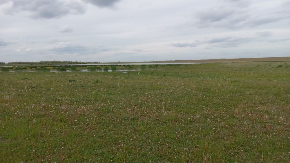 Ищю подработку мне 15 лет