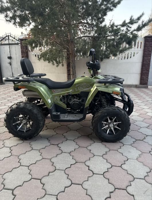 Квадроцикл Tao motor linko 250