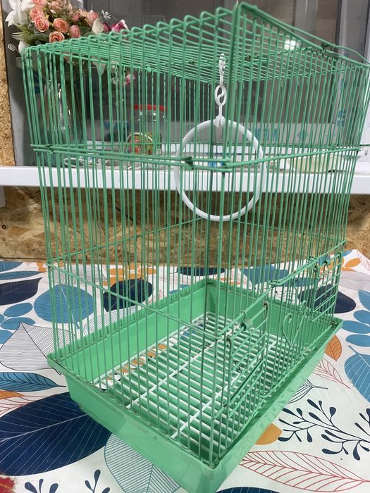 Попугай домашние подарок:качеля,еще один клетка