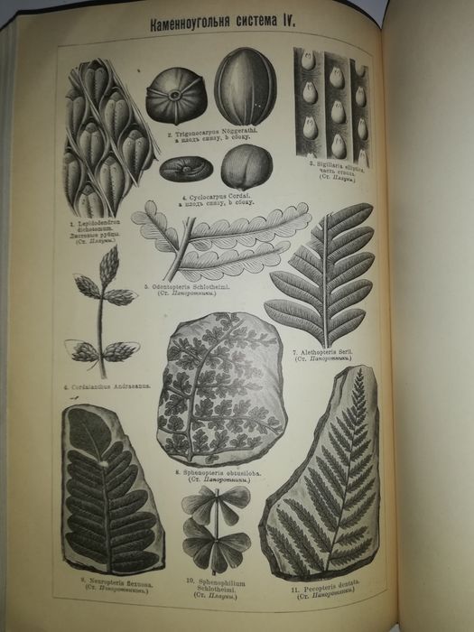 Энциклопедический словарь Южакова. Том 10