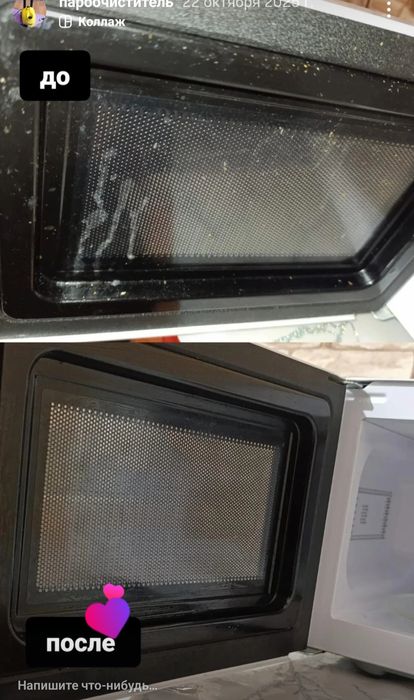 Аренда пароочистителя Karcher