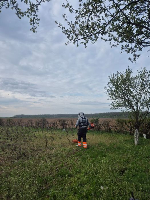 Toaletez defrișări grădini Amenajări  tuns gazon. Sap cu motocultor