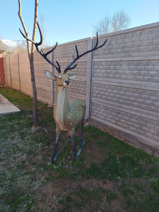 Кийк сотилади. Холати яхши