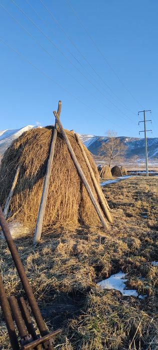 Продам сено, недорого