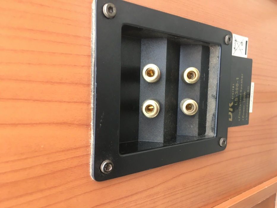 Boxe difuzoare dk digital la 300-1 din Germania 100w, 8 ohmi
