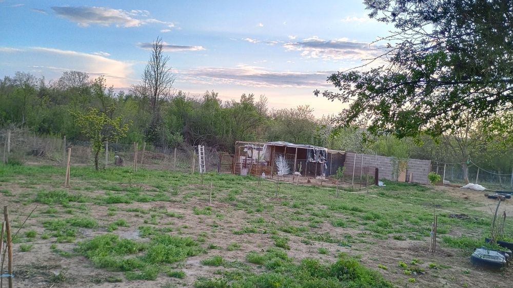 Продава се Къща в Лом - 60 кв.м за 230 €/кв.м - Снимка #4