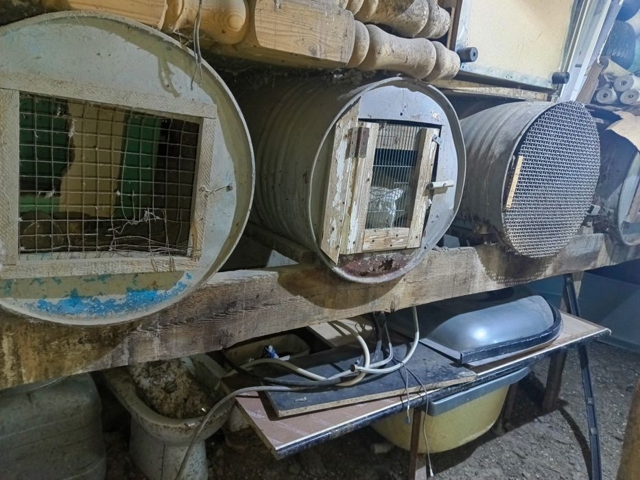 Продам крольчатник