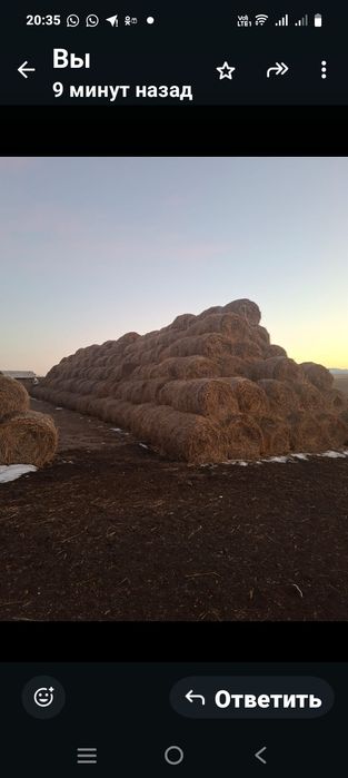 Продам солому пщеничную.В скирде