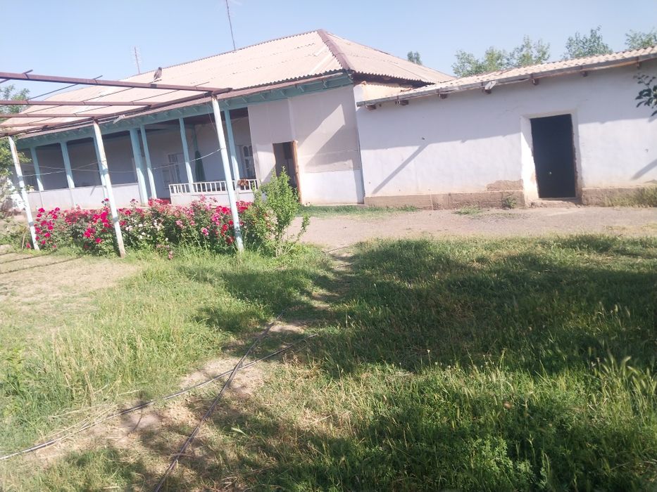 Zomin tumani Bogishamol qishlogida xamma sharoyitga iga xovli sotiladi