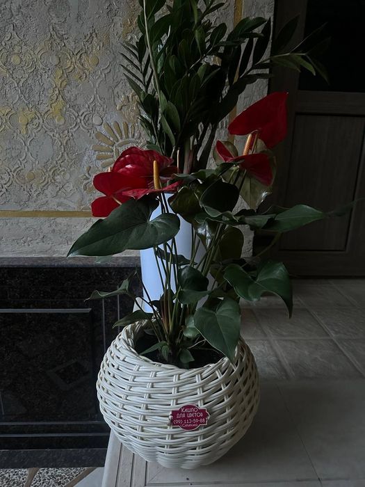 Kashpo iz rotanga dlya svetov