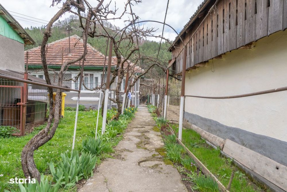 Acasa nu e un apartament. E pe Pietrosu nr. 8, in Zemes.