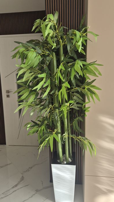 Растение изкуствен бамбук