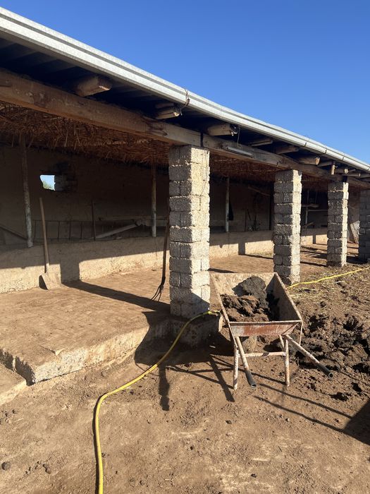 Yer uchaska hovli mol boqishqa sharoyit bor