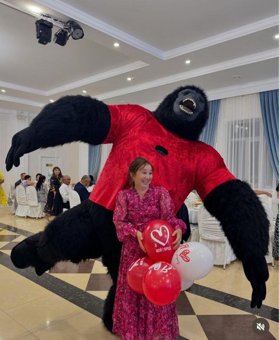 Мишки теди аниматор прокат