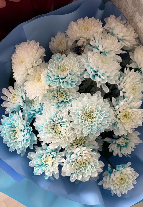 Цветы Шымкент самовывоз