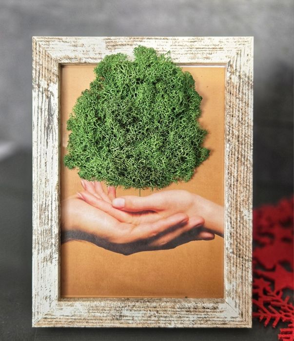 Картина "Kiss me" декорирана с напълно естествен скандинавски мъх