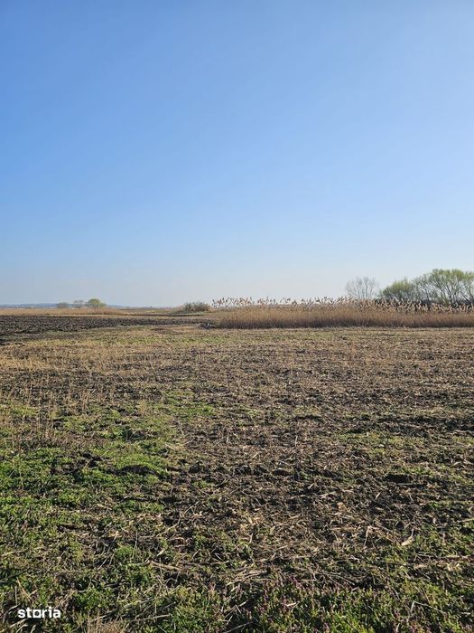 Teren extravilan pentru balastiera Biharia