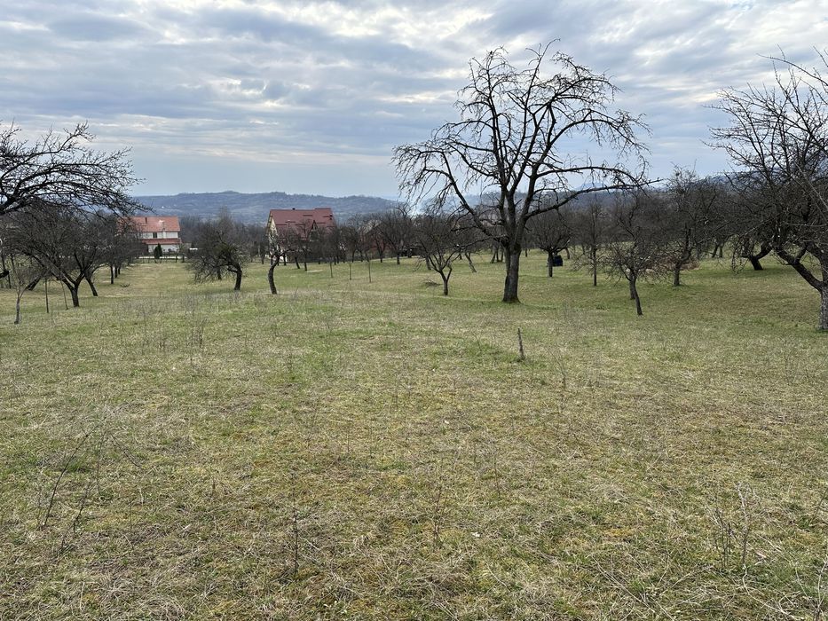 Vand teren intravilan, zona foarte linistita in localitatea Baia Sprie