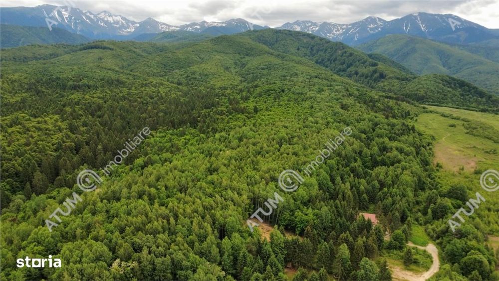 Teren intravilan in Porumbacu de Sus