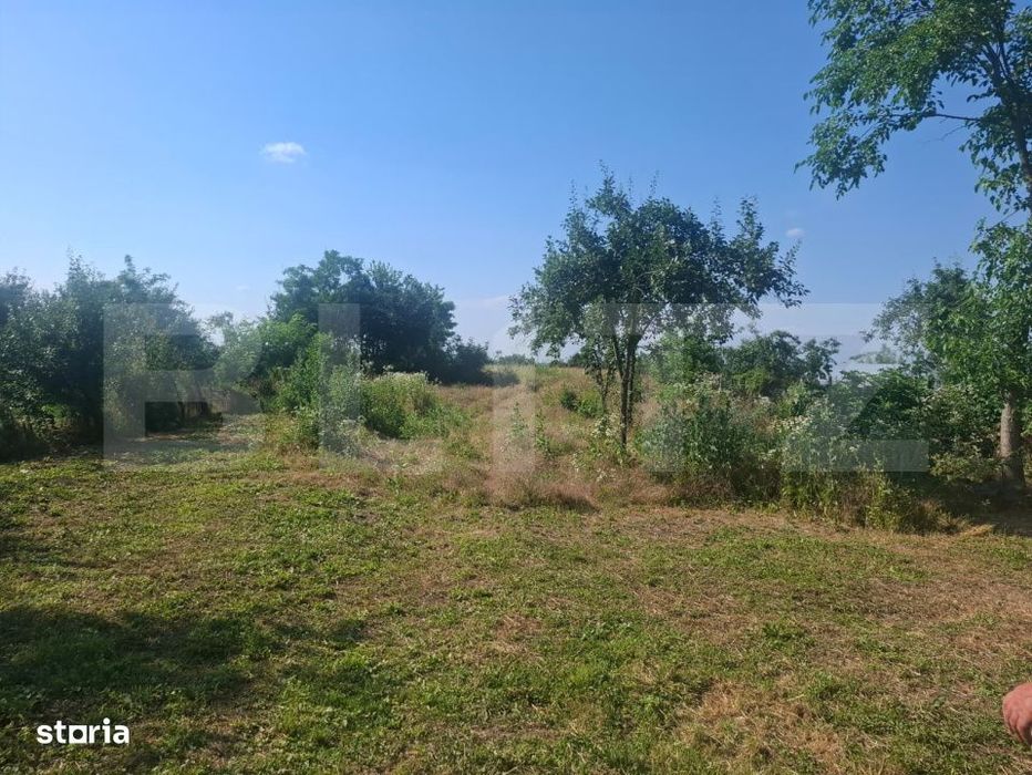 Casa individuala, 100 mp, teren 5000 mp, zona Mogosani