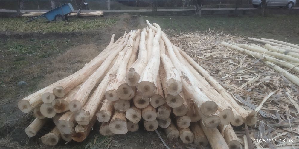 Strapela sotiladi 620 sm uzunligi