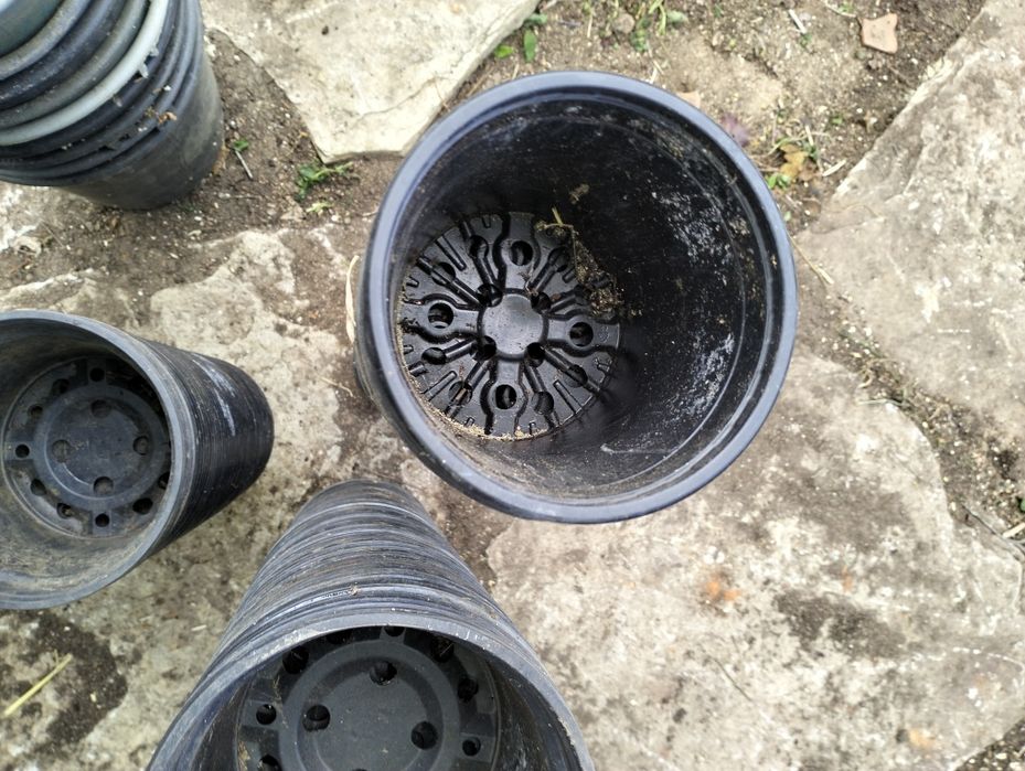 Кофички,саксии  за разсад