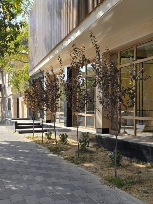 Жуманжи Мона Продается Отдельно Стояшая Здания