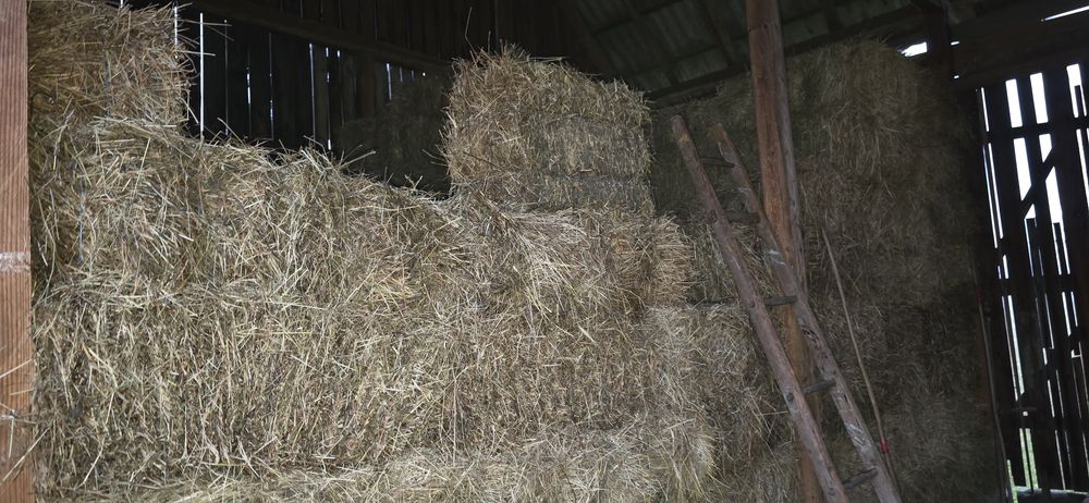 Vand baloti trifoi si otava