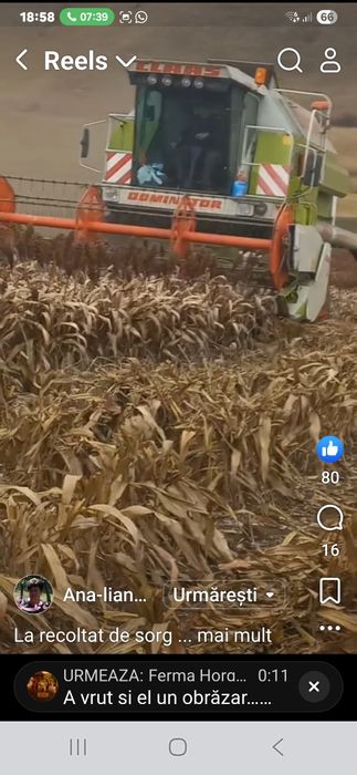 Vand sorg  in comuna Frata