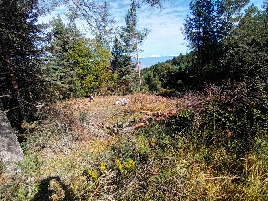 Продава се Земеделски имот в Банско -  кв.м за 40800 €/дка - Снимка #4