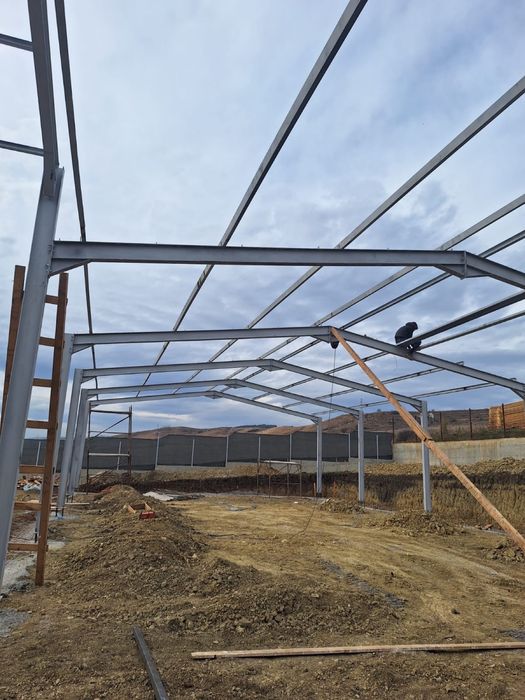 Structura metalica. Containere. Case pe structura metalica