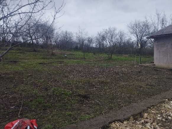 casa 2 camere,din piatra,vedere la padure ,dumbraveni constanta.