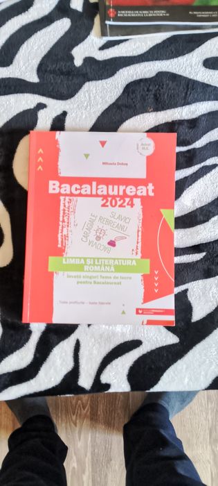 Carte Limba și literatura română bacalaureat varianta 2024