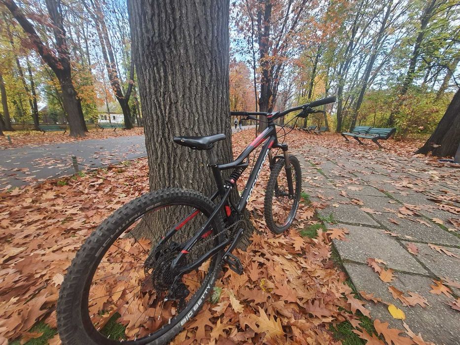 Vand Rockrider st530s, Marime cadru L