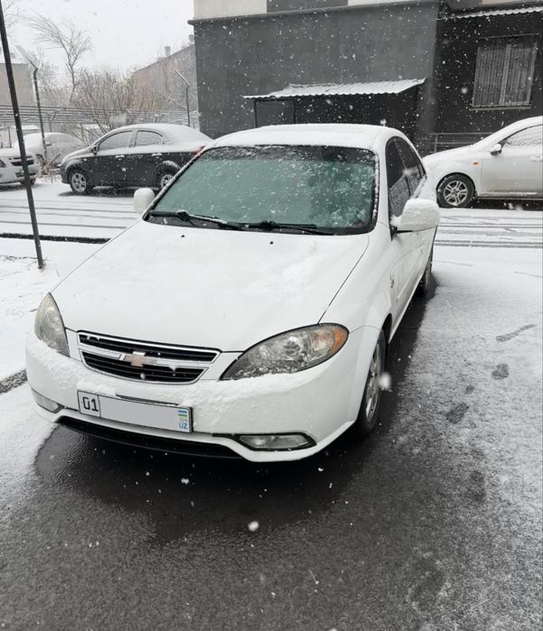 Жентра 2020 шумка