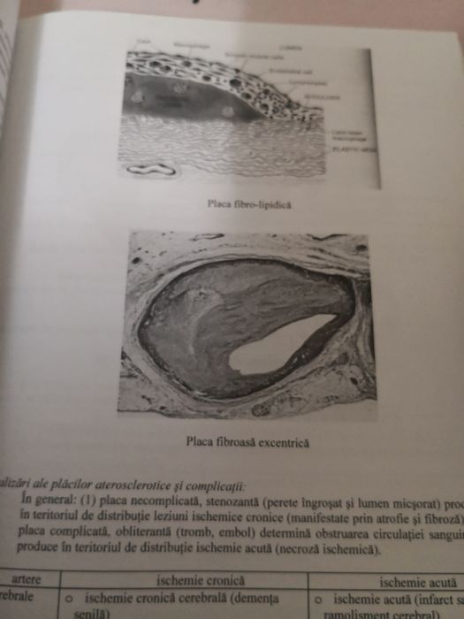 Morfopatologie UMF - asistenti medicali