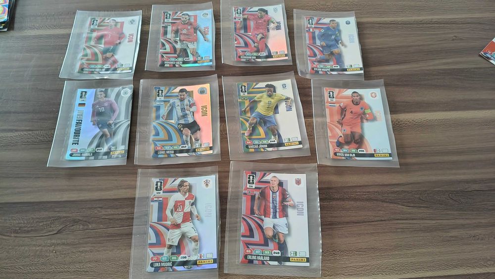 Cartonase Panini WC 26