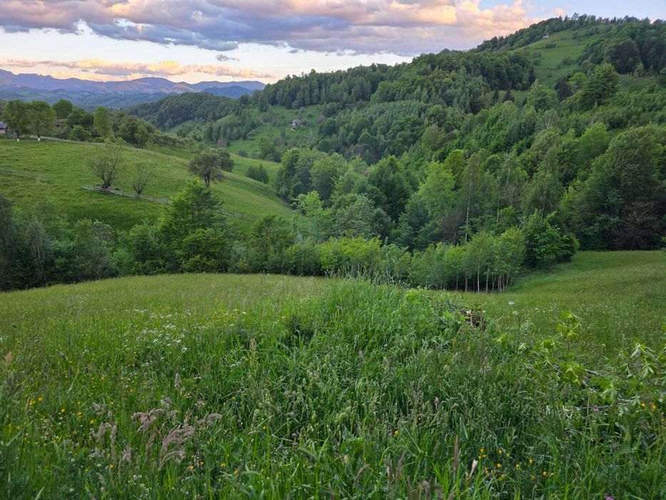 vanzare teren intravilan Sat Magura, Comuna Moieciu, Jud Brasov