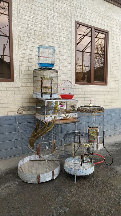 Клетка Для птиц новая