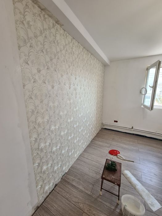 Constructor profesionist