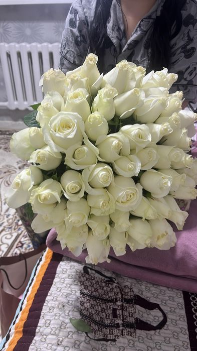 Гул солмаған азанда келген